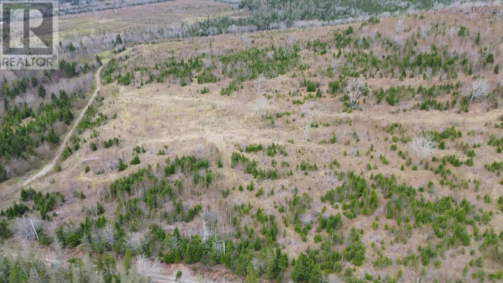 Acreage Mason Road photo 4