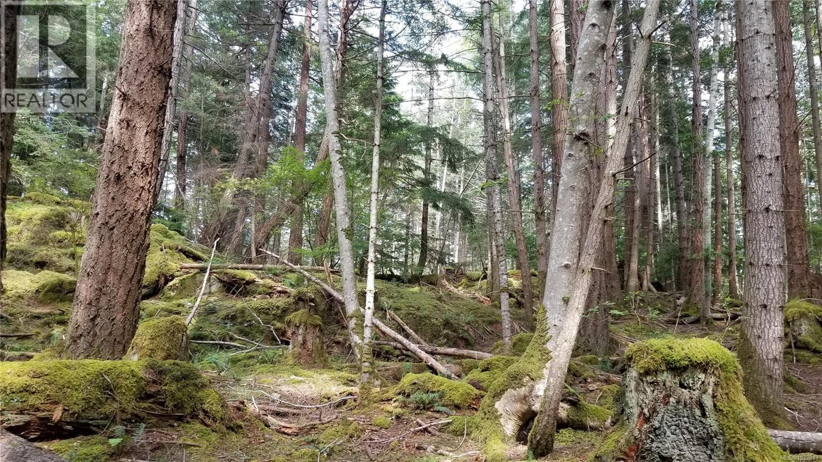 A Millicheap Rd photo 5
