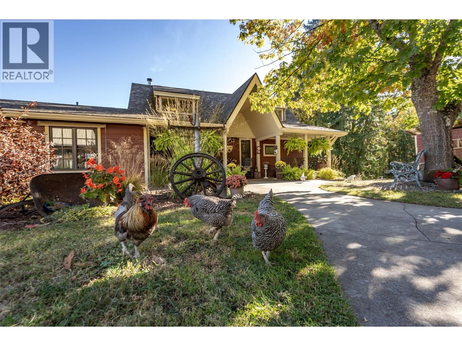 8840 Olson Road photo 4