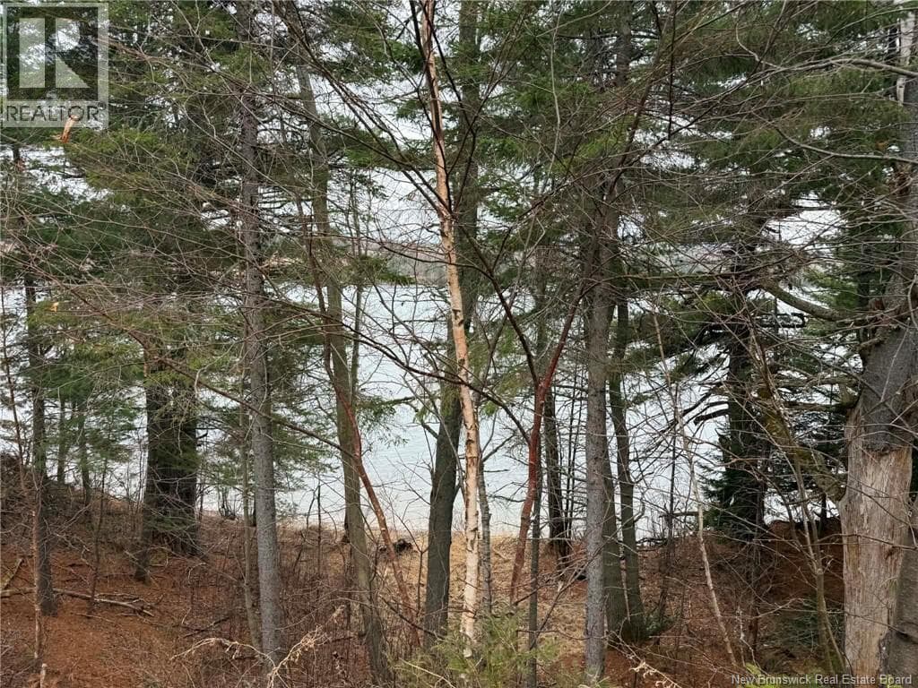 286 River Road photo 2