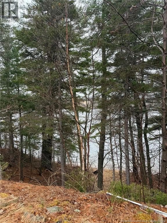 286 River Road photo 4