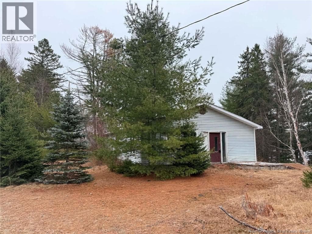 286 River Road photo 3