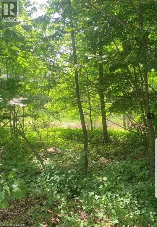 LOT 12 SUTER Drive photo 2