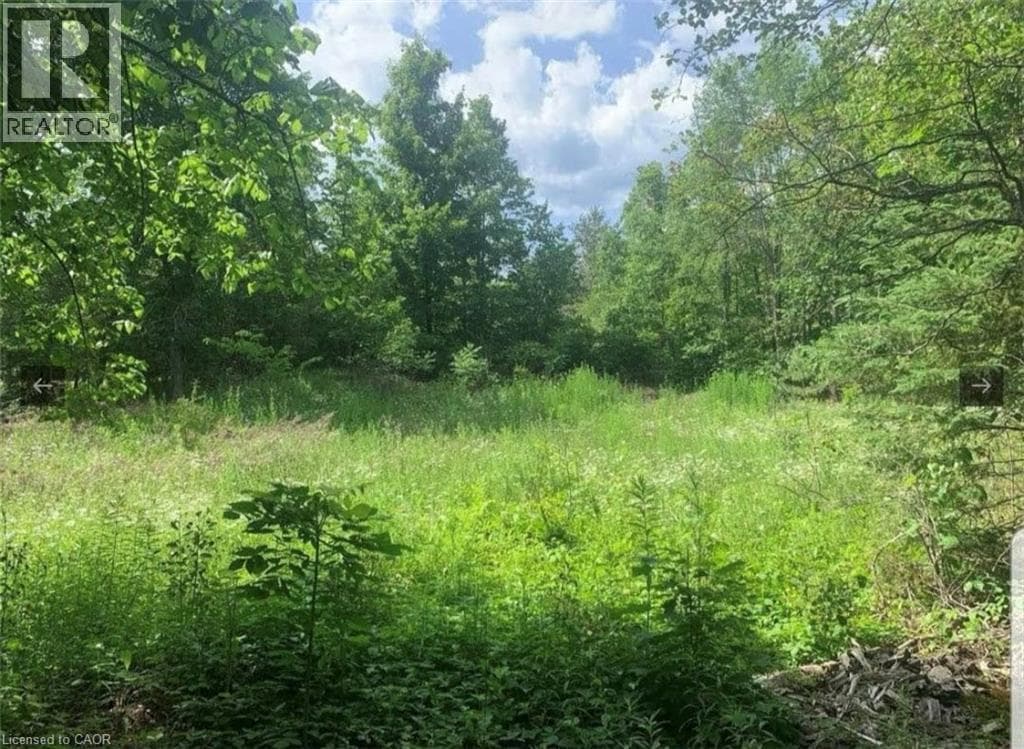LOT 12 SUTER Drive photo 3