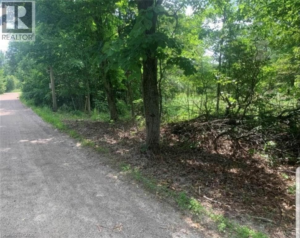 LOT 12 SUTER Drive photo 4