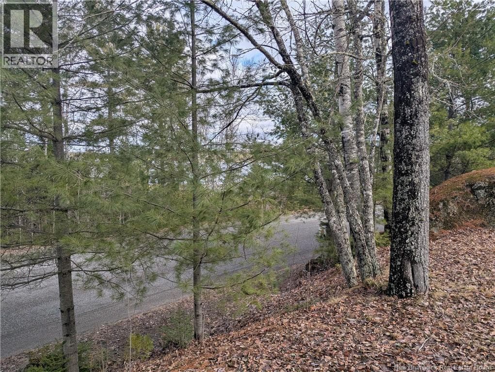 3837 Route 122 photo 4