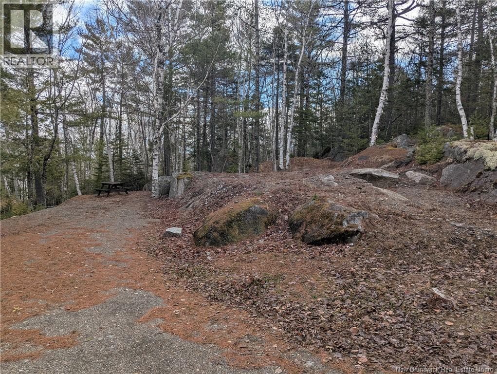 3837 Route 122 photo 5