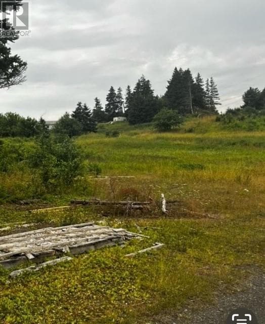 76B Island Drive photo 4