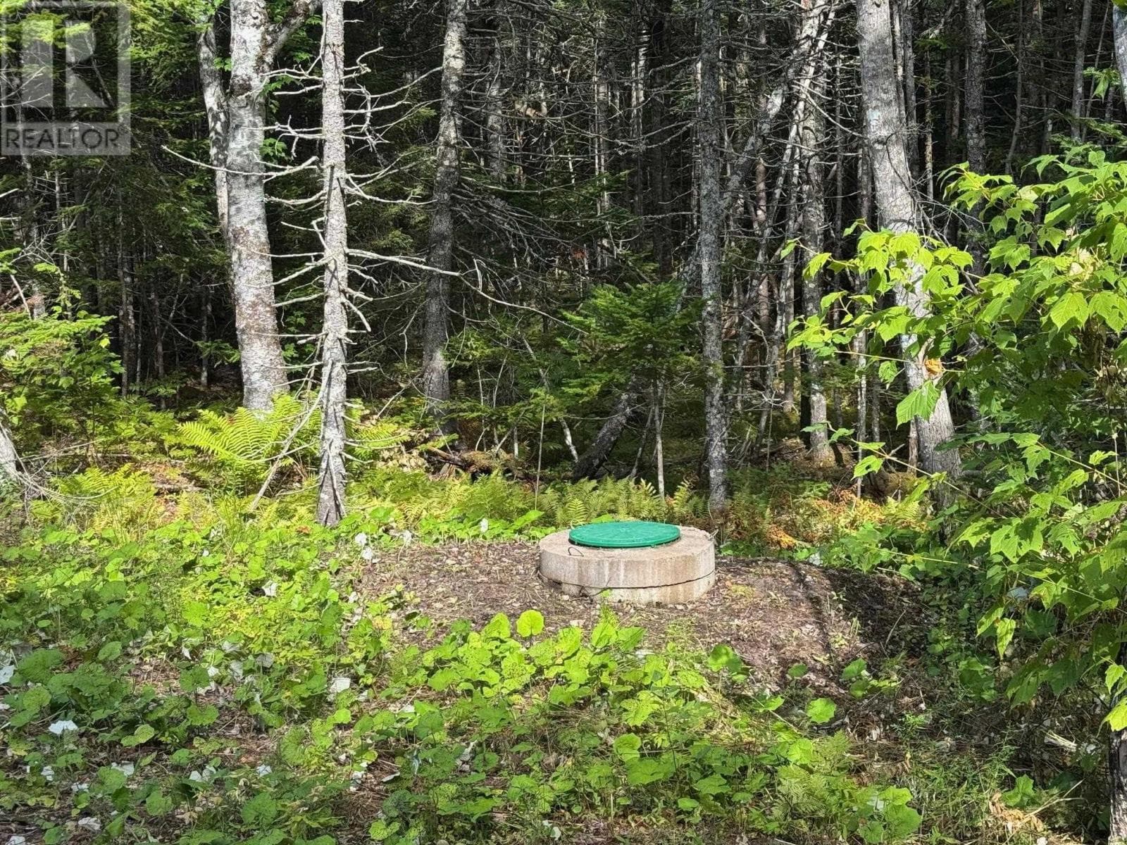 Marble Mountain Road, Redbird drive, Big Harbour Centre photo 4