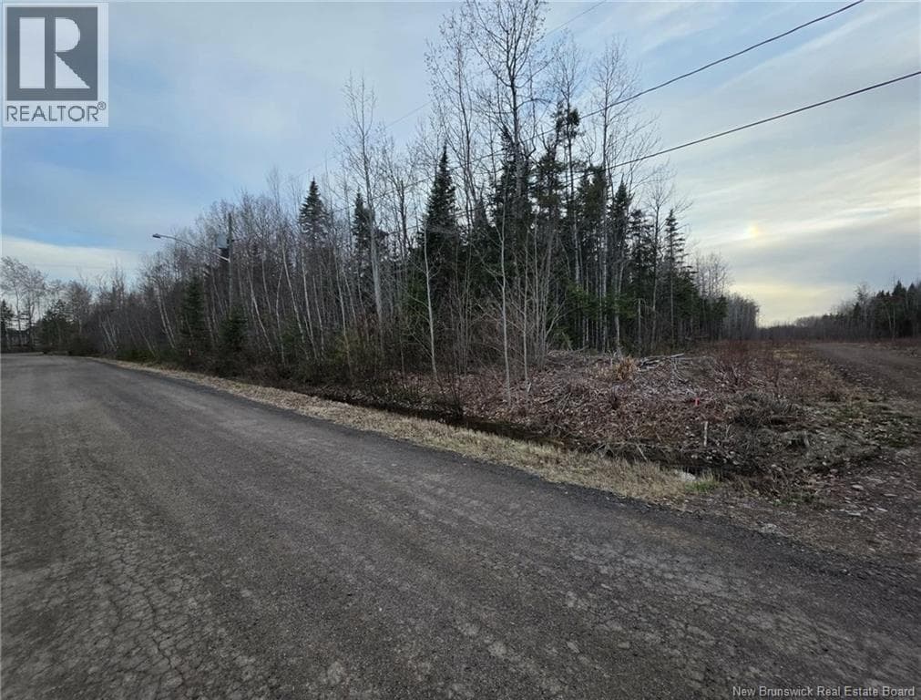 28 Deepwood Avenue photo 4
