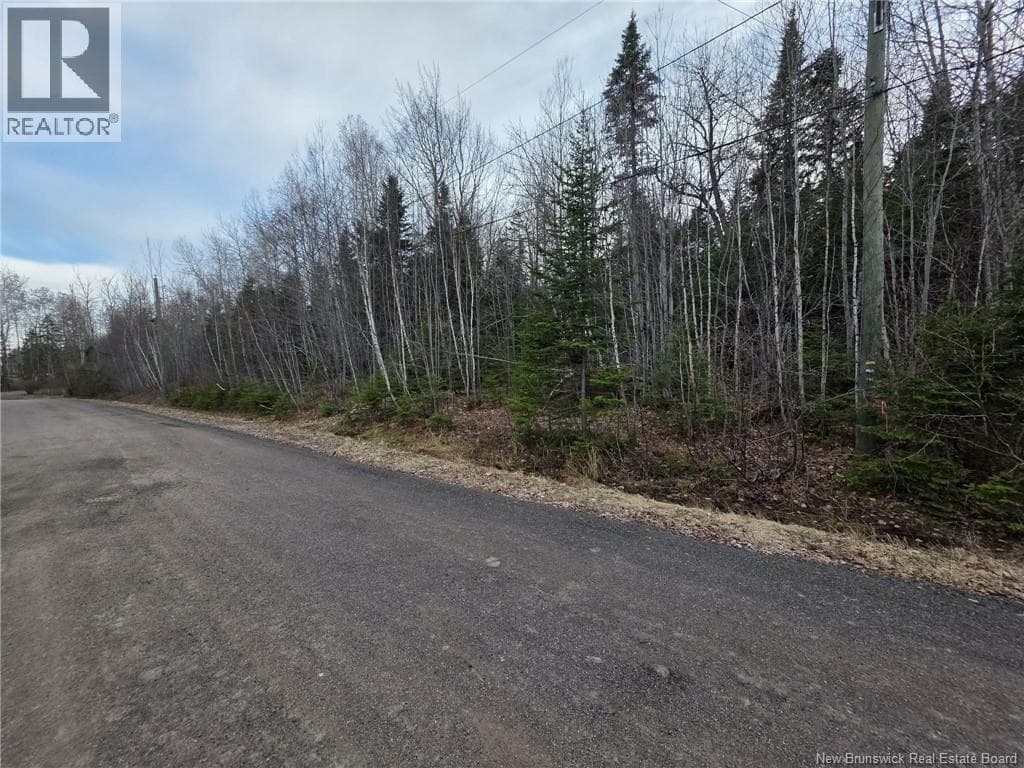 26 Deepwood Avenue photo 3