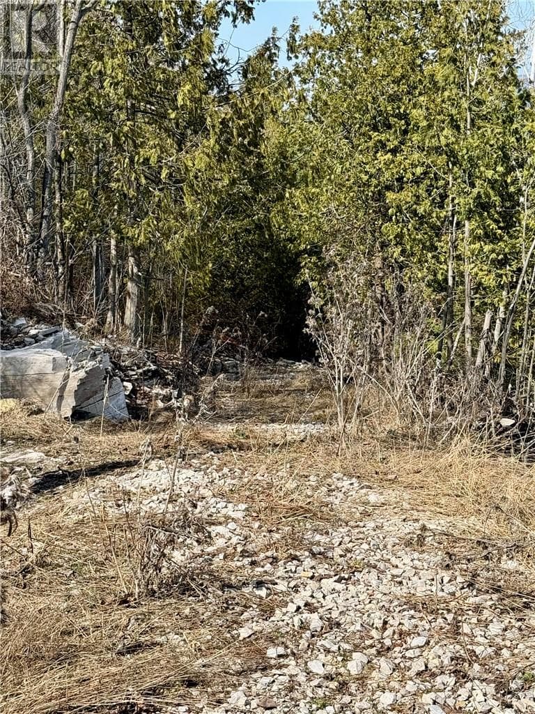 50 Scotts Bluff photo 4