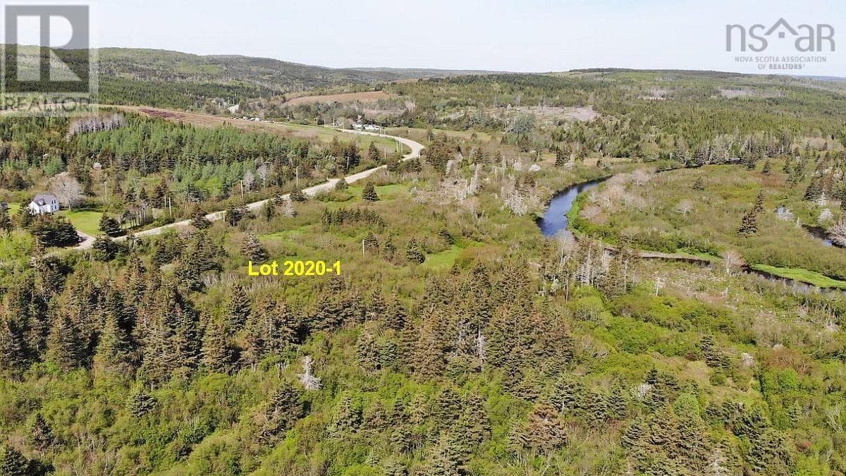 4.8 Acres Salmon River Lake Road photo 4