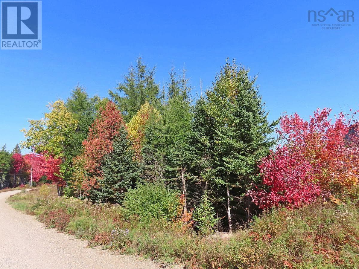 62 Acres West Side Road photo 3