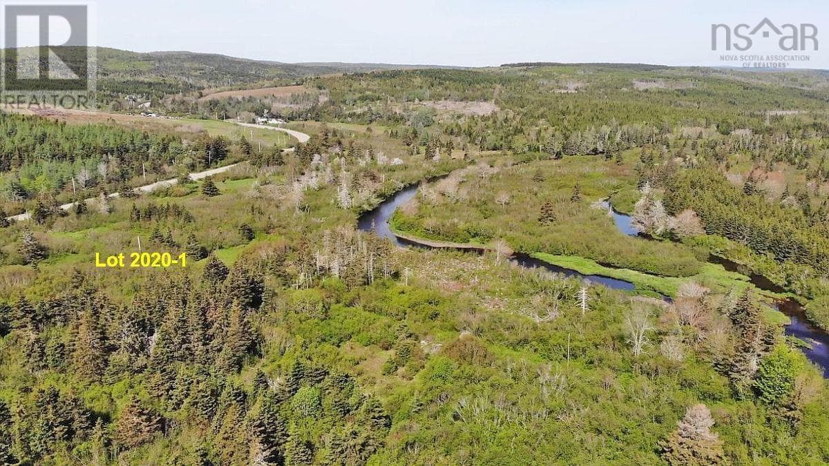 4.8 Acres Salmon River Lake Road photo 3