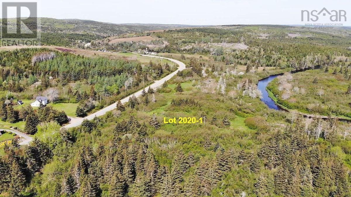 4.8 Acres Salmon River Lake Road photo 5