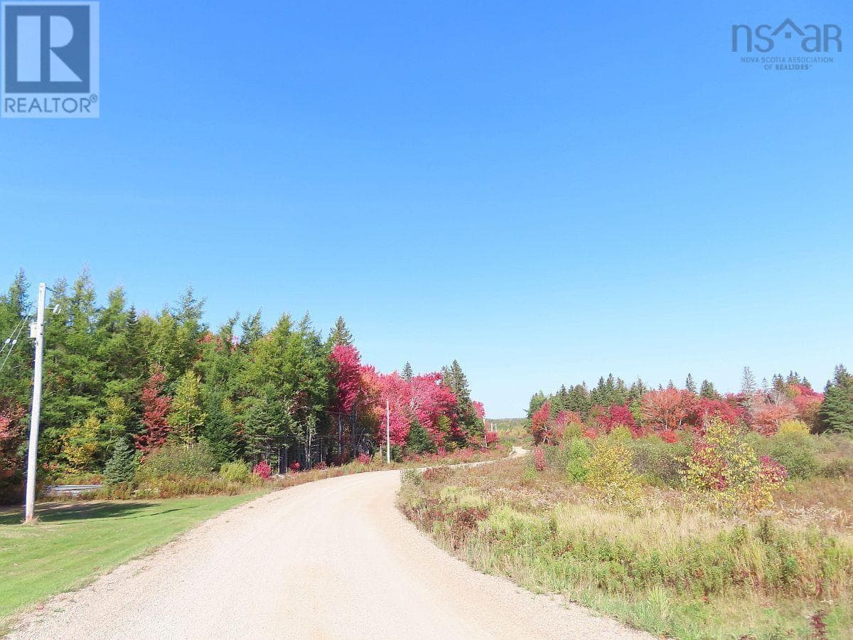 62 Acres West Side Road photo 4