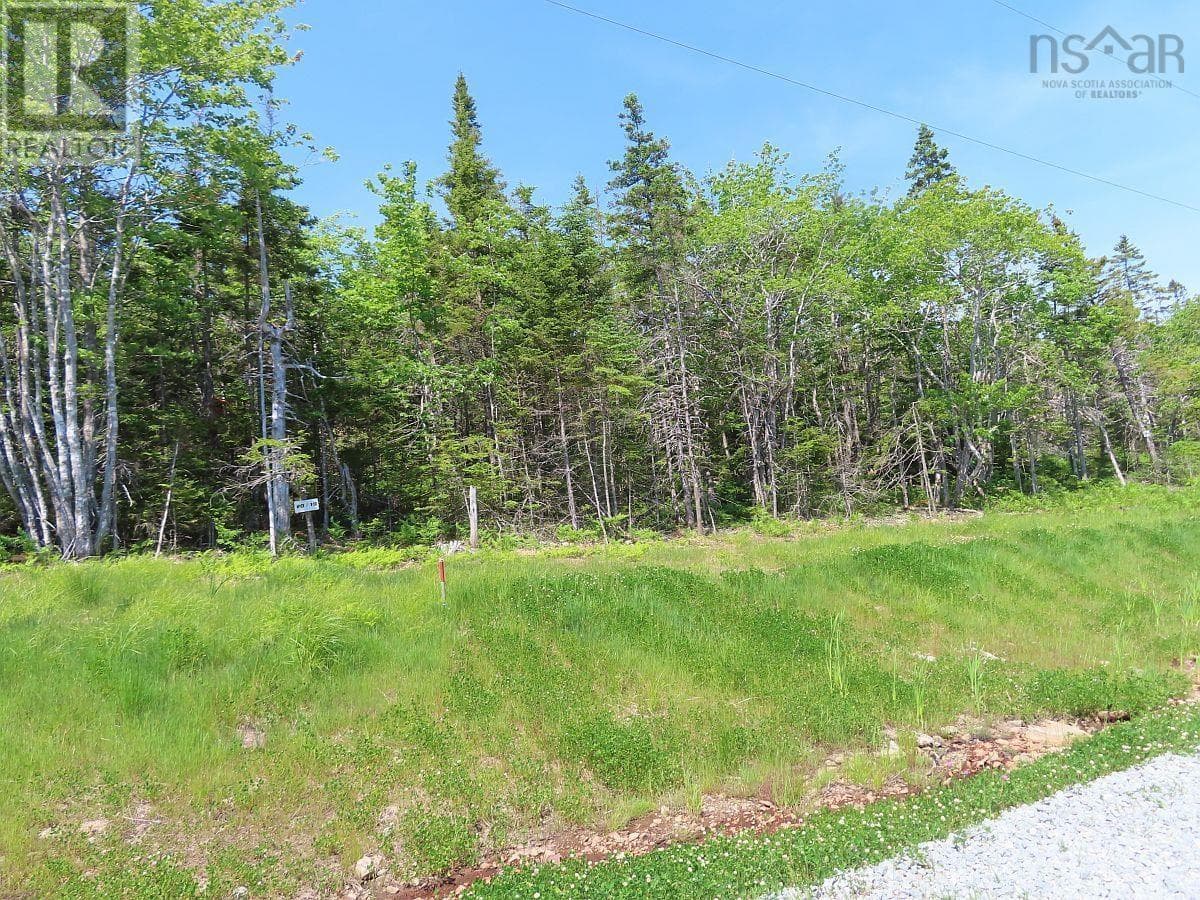 Lot 20 Perry Lane photo 5