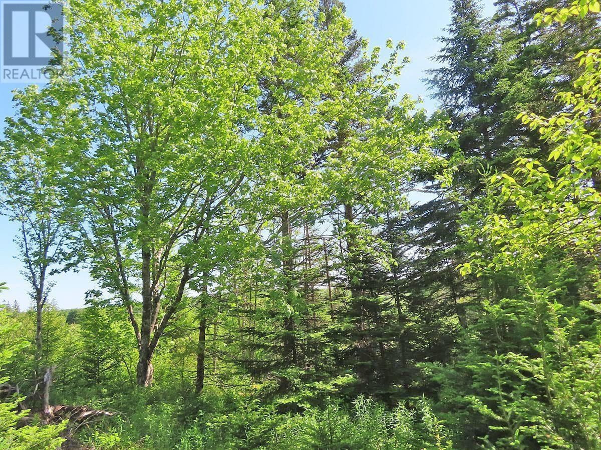 Lot 2 Old Trunk 4 Highway photo 4