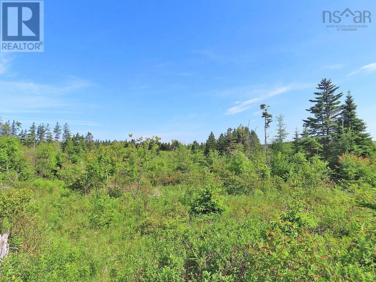 Lot 2 Old Trunk 4 Highway photo 2