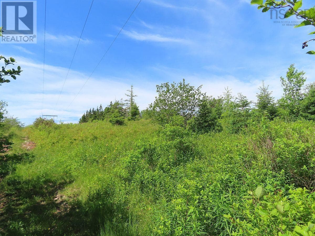 vacant land at Lot 2 Old Trunk 4 Highway — $25,000