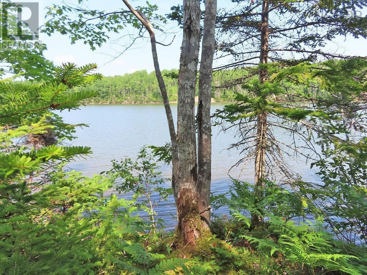 Lot 2 Lower River Road photo 4