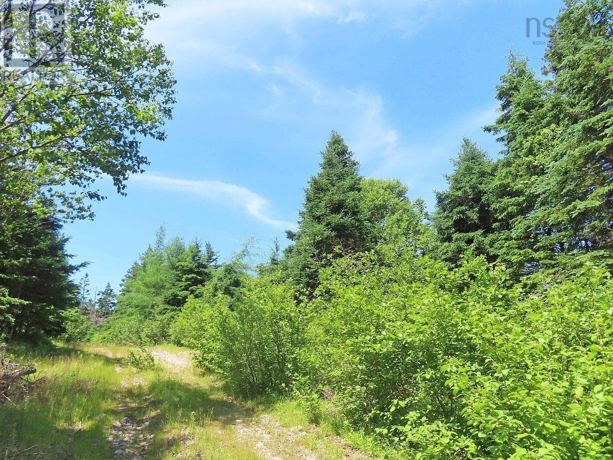 vacant land at 20 Acres Upper Grand Mira Road — $59,000