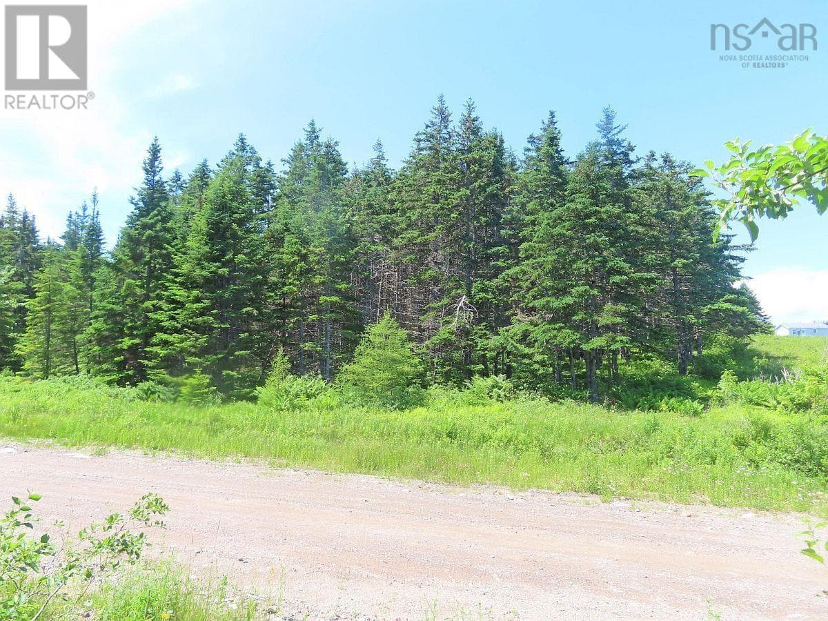 20 Acres Upper Grand Mira Road photo 5