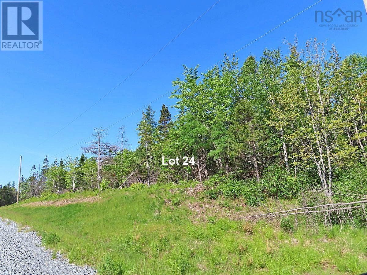 Lot 24 Perry Lane photo 4