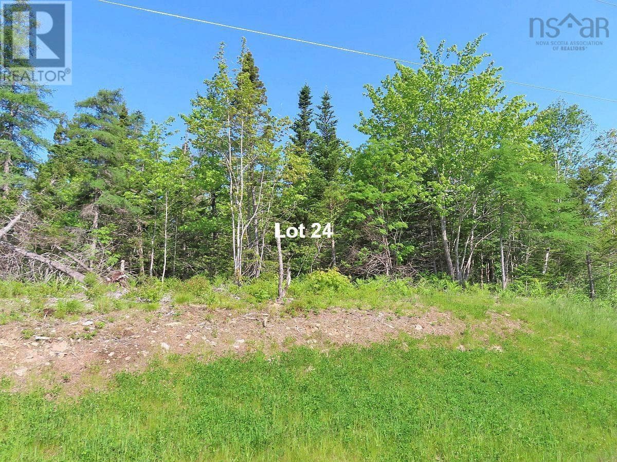 Lot 24 Perry Lane photo 5