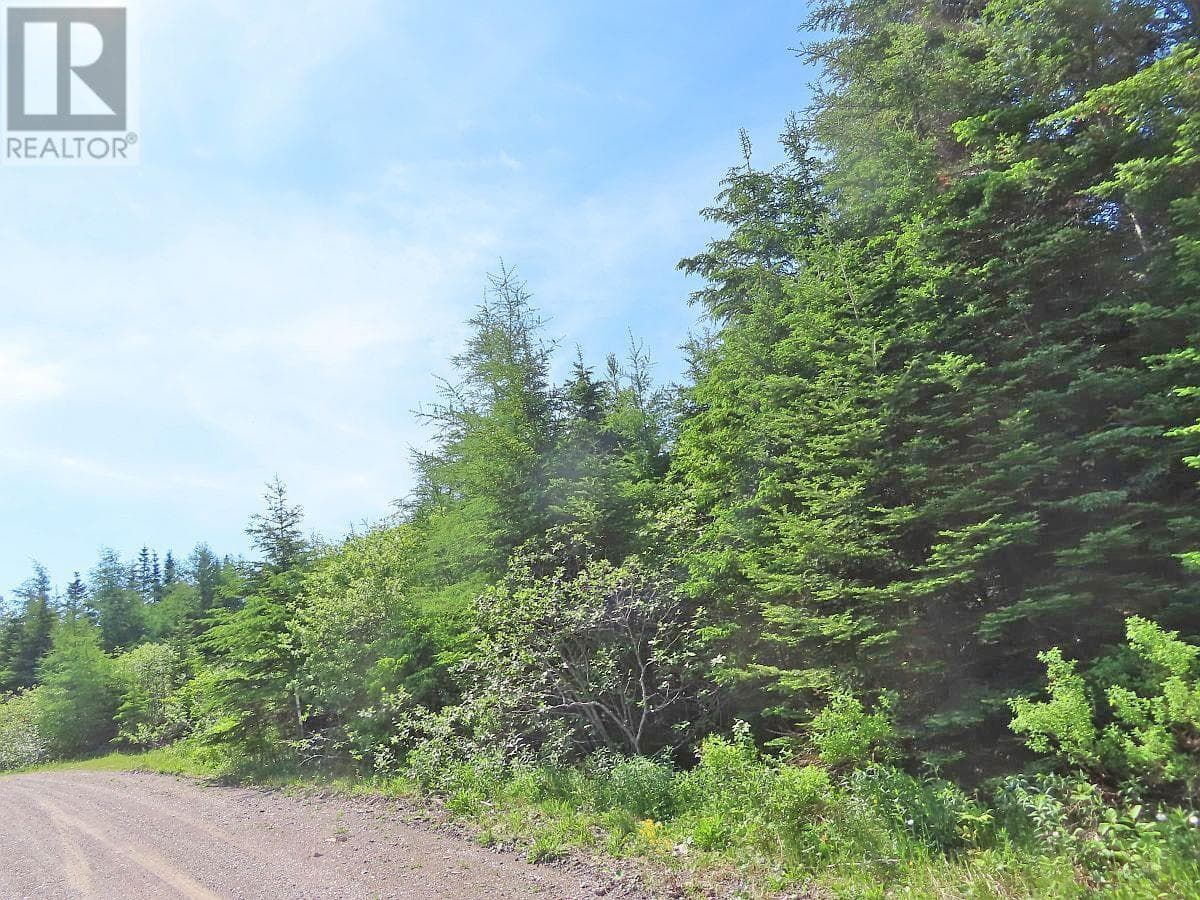 Lot 3 Rear Big Cove Road photo 5
