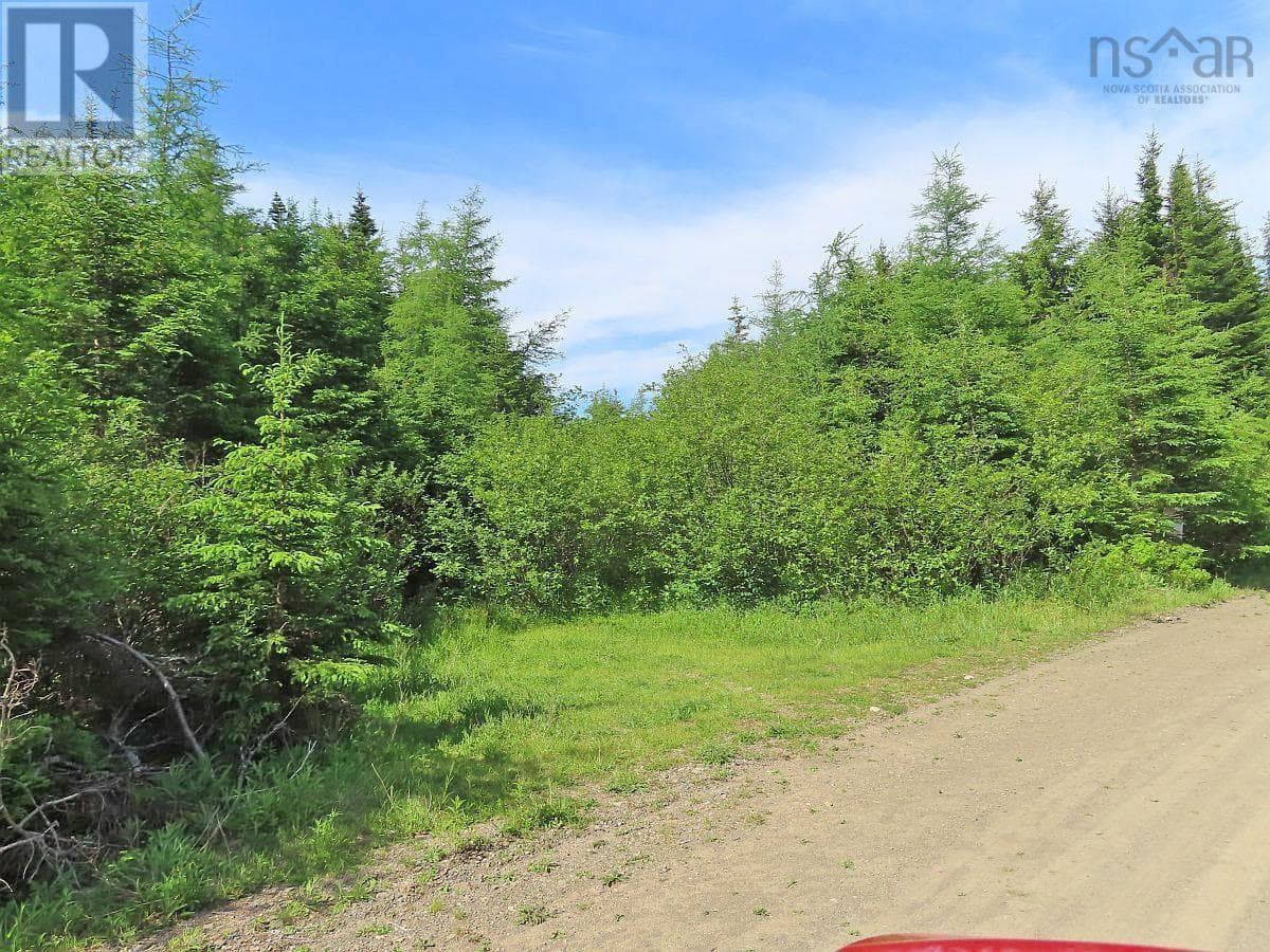Lot 3 Rear Big Cove Road photo 4