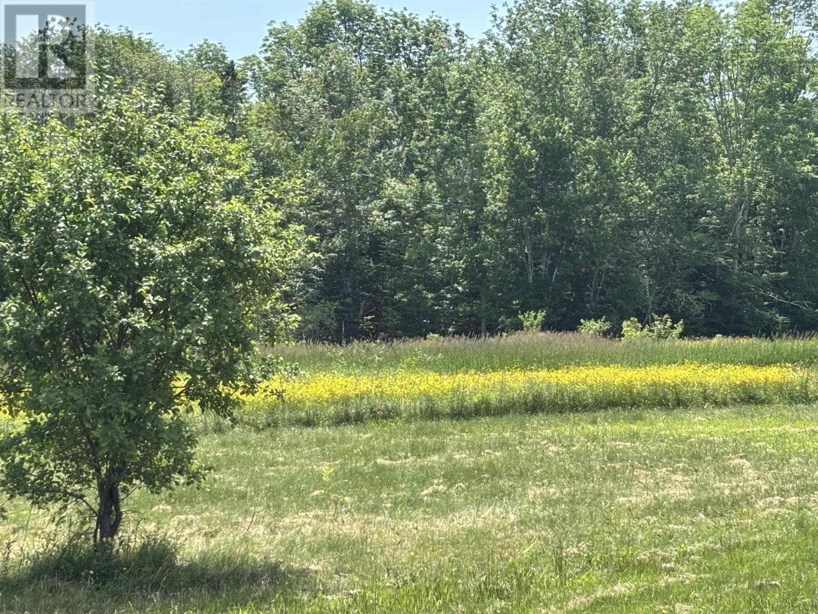 Lot 20-2B Highway 376 photo 3