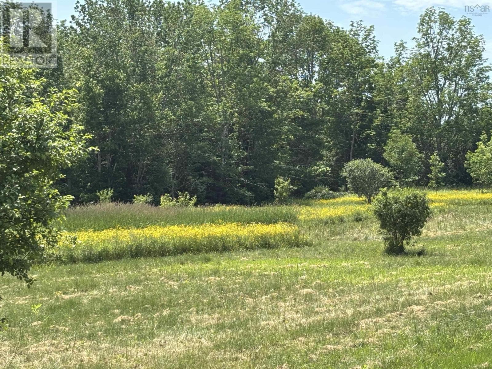 Lot 20-2B Highway 376 photo 4