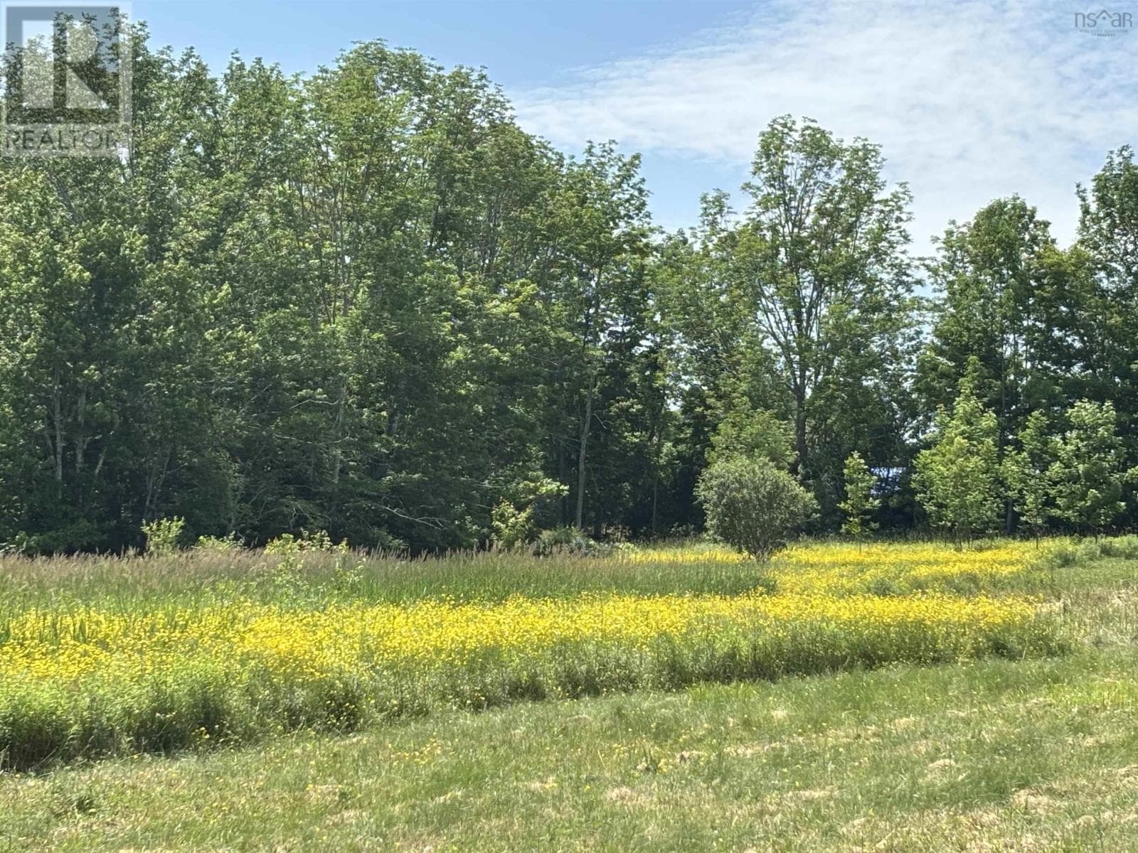 Lot 20-2B Highway 376 photo 5