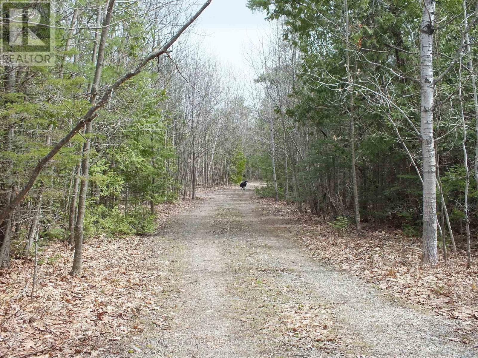 vacant land at N/A DIAL ROAD N — $295,000