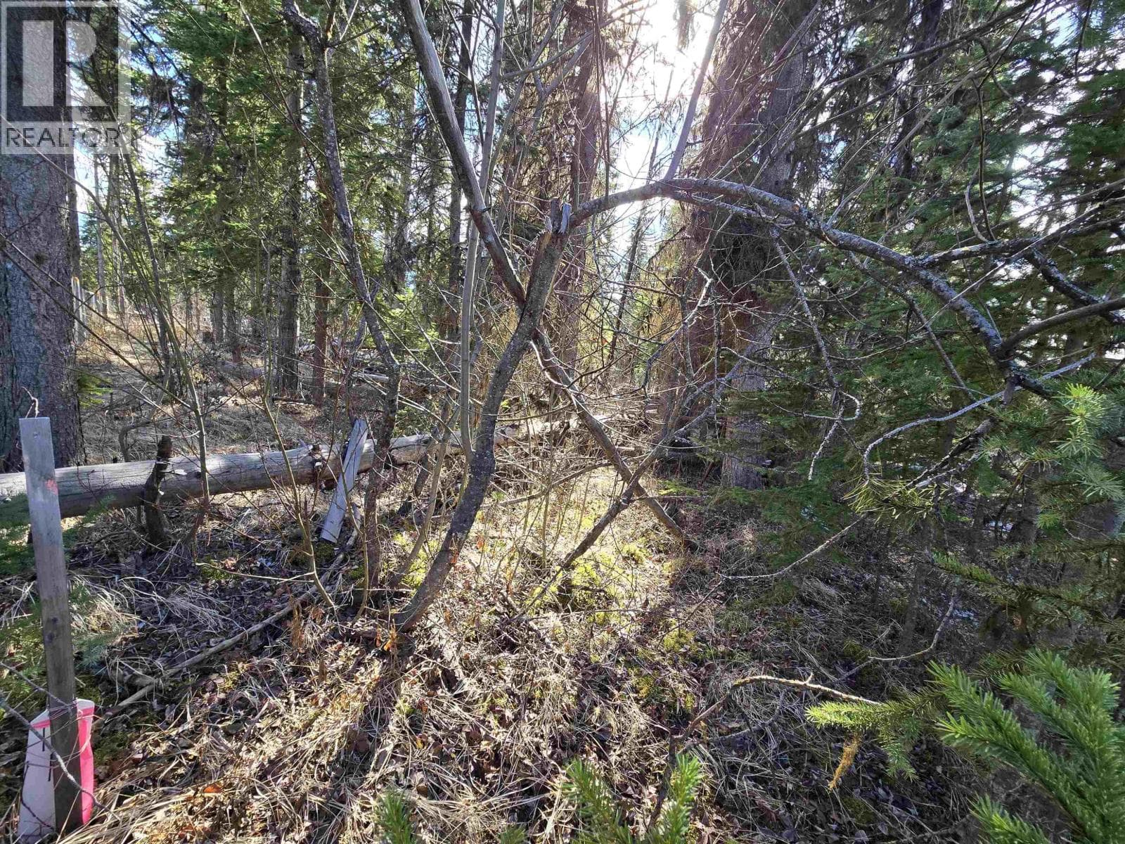 LOT 207 INGENTO ROAD photo 5