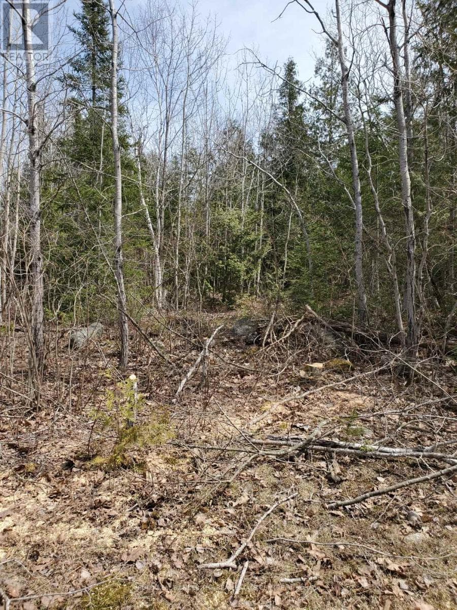 vacant land at 13476 HWY. 542 HIGHWAY — $210,000