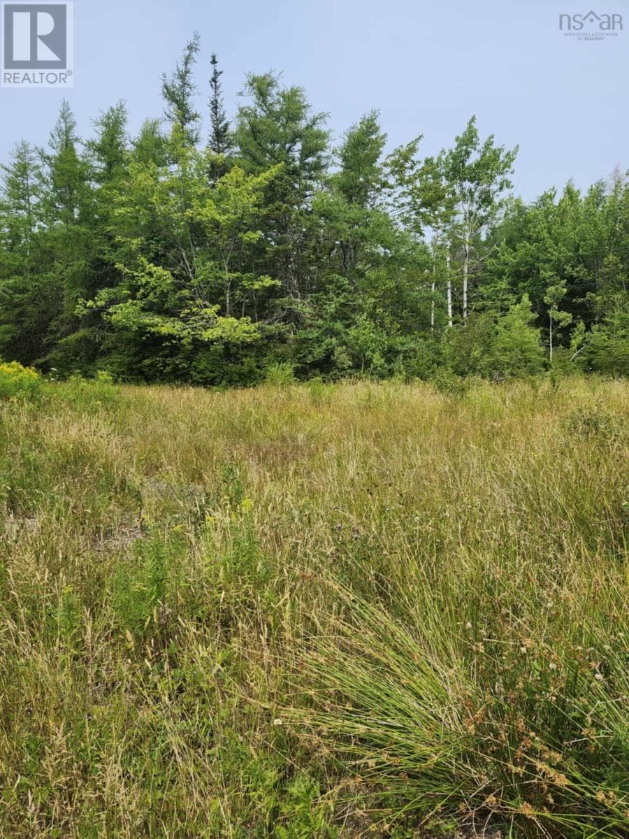 - Alder Road photo 3