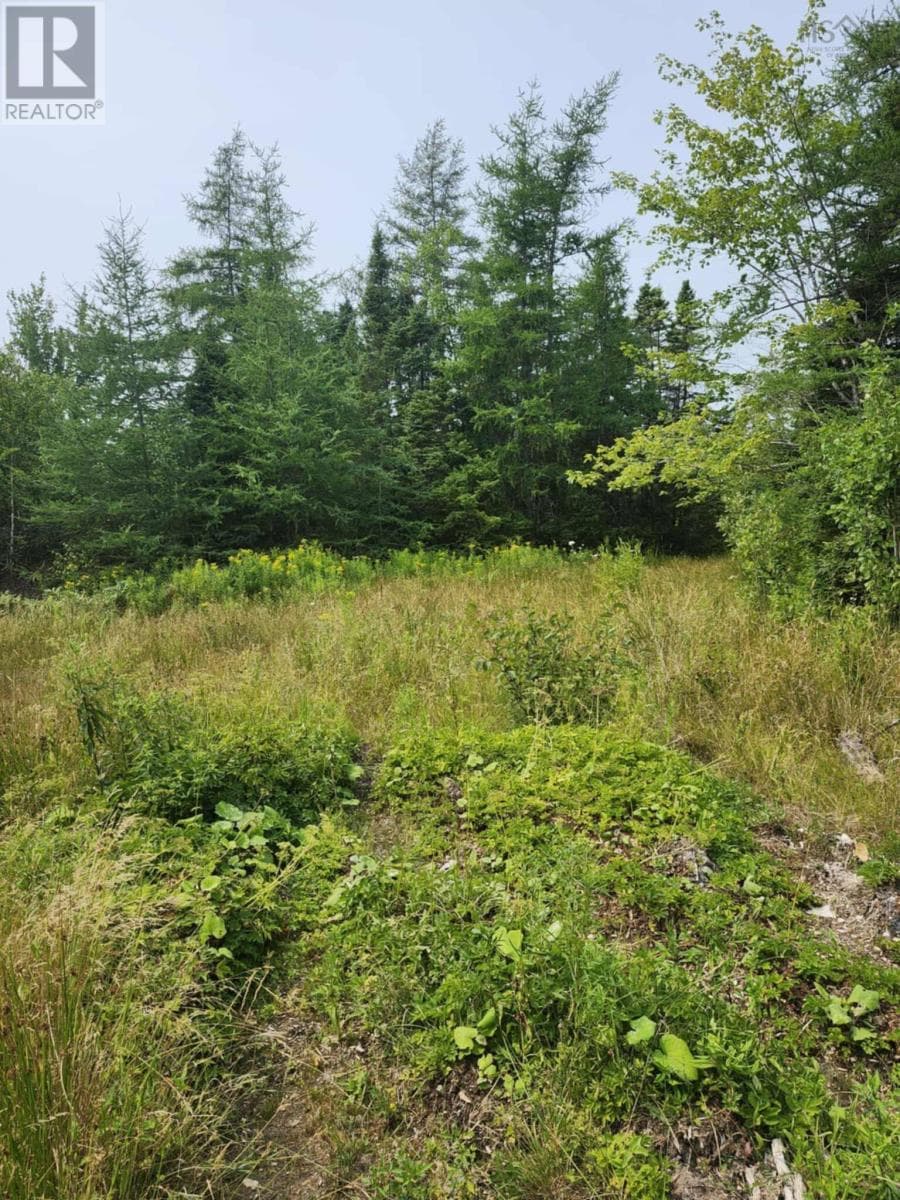- Alder Road photo 4