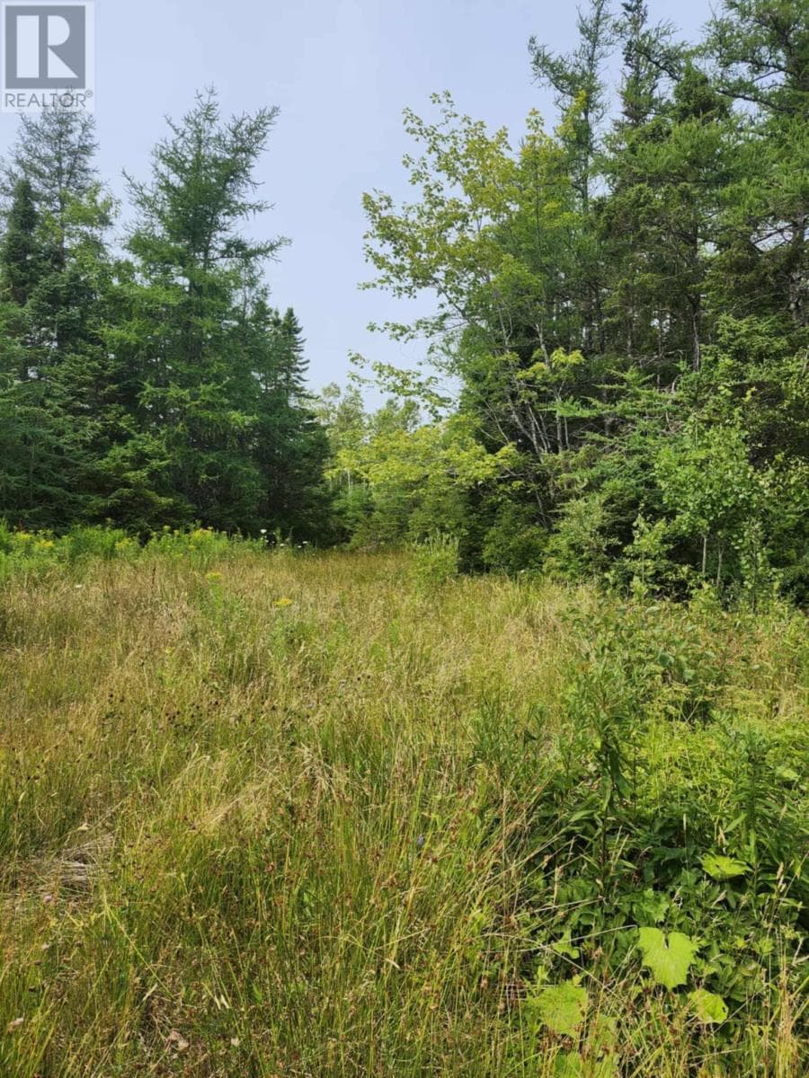 - Alder Road photo 5
