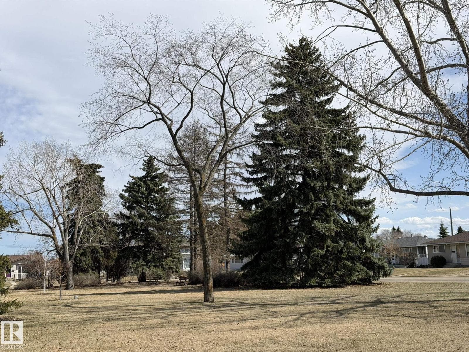 13437 118 ST NW photo 3