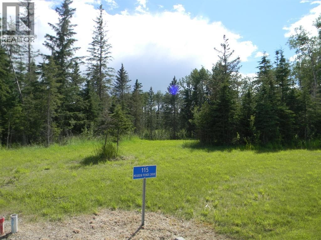 115 Meadow Ponds Drive — photo 5