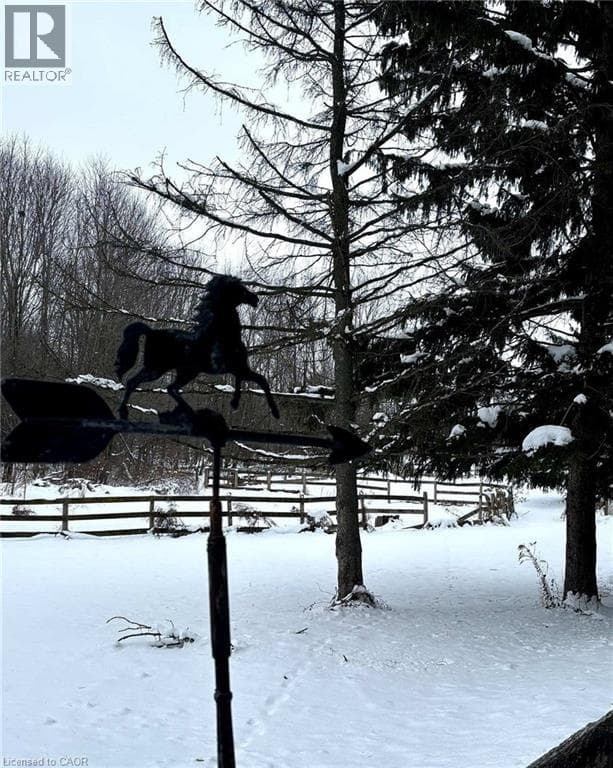 3504 PIGRAM Road photo 2