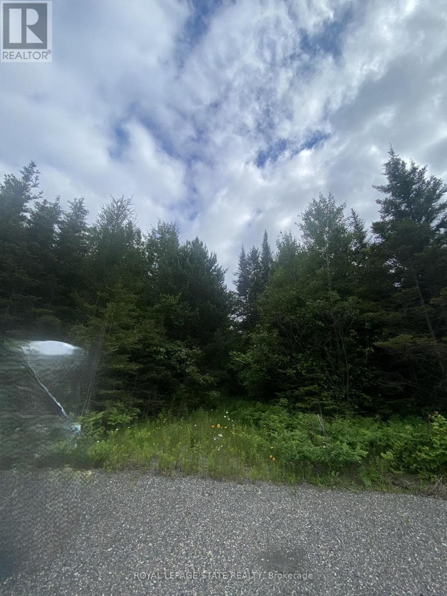 LOT 1 ON-17 / TRANS CANADA HIGHWAY photo 3