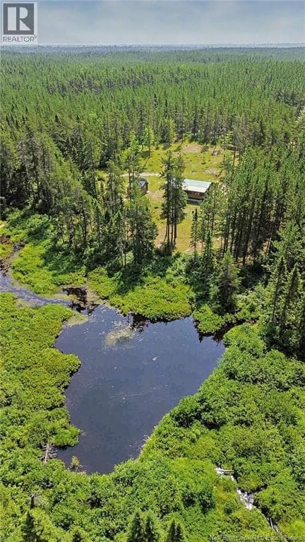 194 Meadow Brook Road photo 3