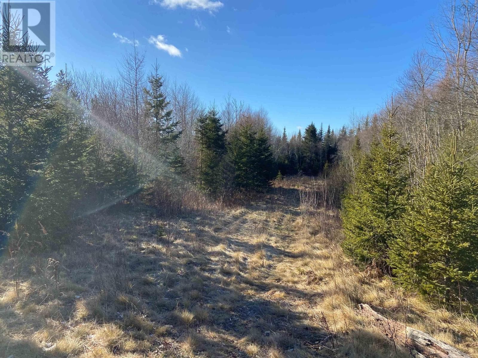 Greg Road photo 3