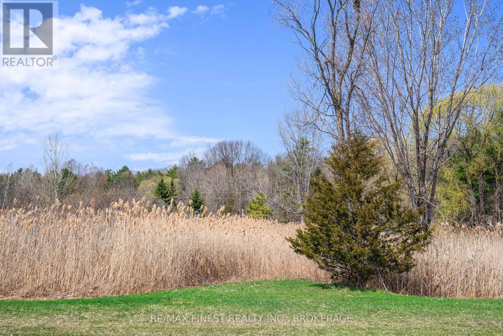 1168 THOUSAND ISLAND PARKWAY photo 2