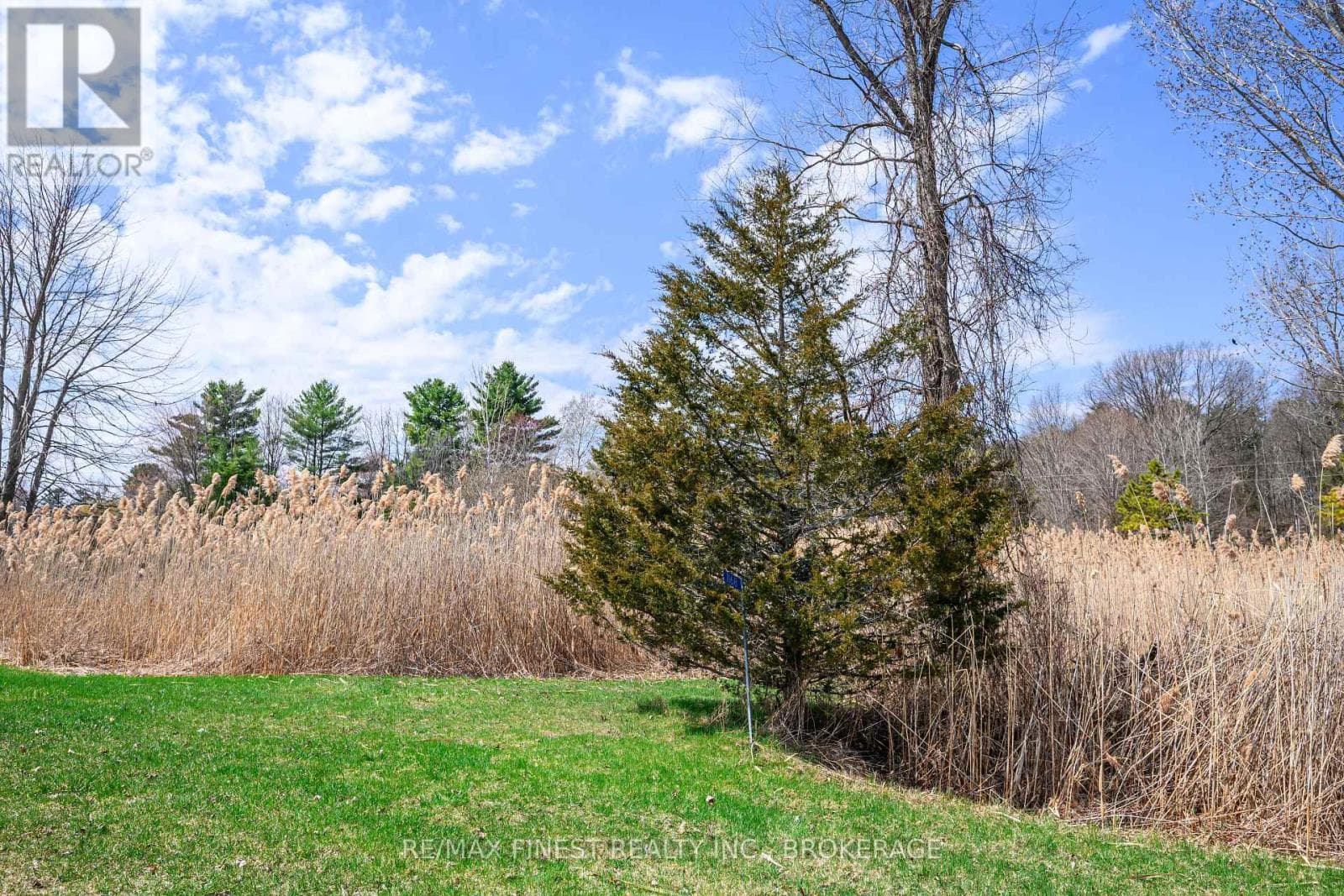 1168 THOUSAND ISLAND PARKWAY photo 3