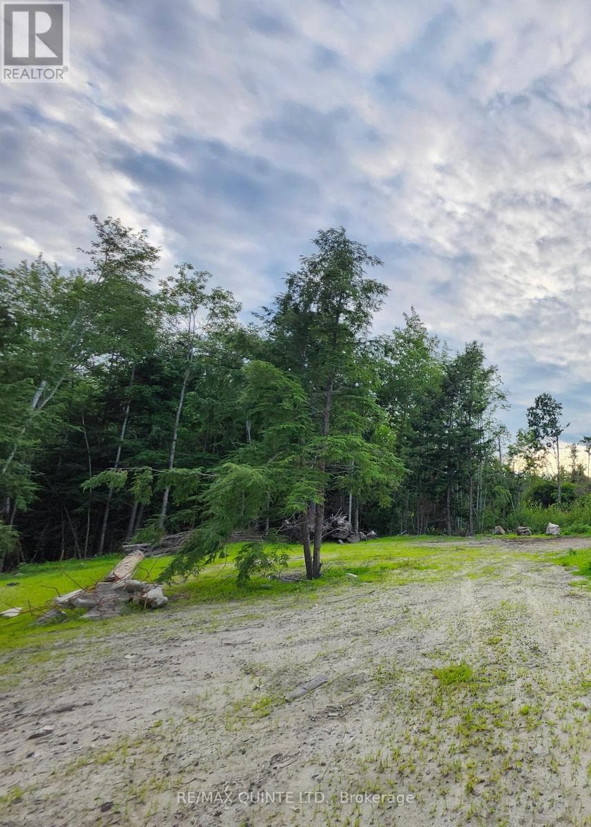 128 VARTY ROAD photo 2